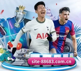 平台愿景 - 长期内容价值积累 - 8868app
